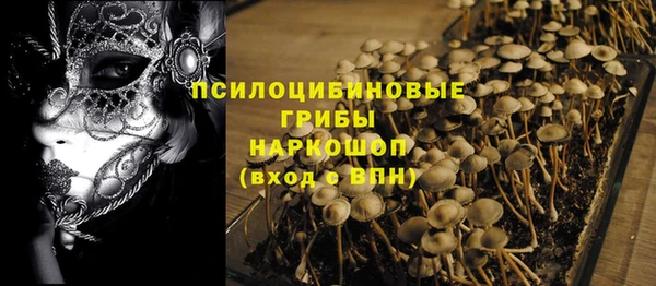 прущая мука Верея