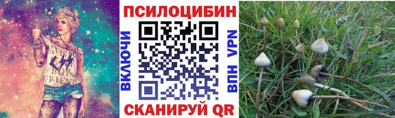 Псилоцибиновые грибы мицелий  продажа наркотиков  площадка клад  Клинцы  ОМГ ОМГ как войти 